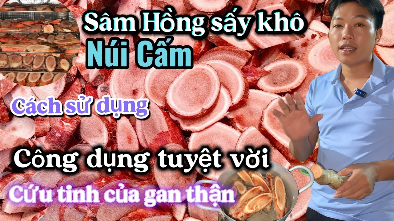 Cách Sử dụng Sâm Hồng Thất Sơn An Giang và Sâm Hồng sấy khô dễ như ăn kẹo