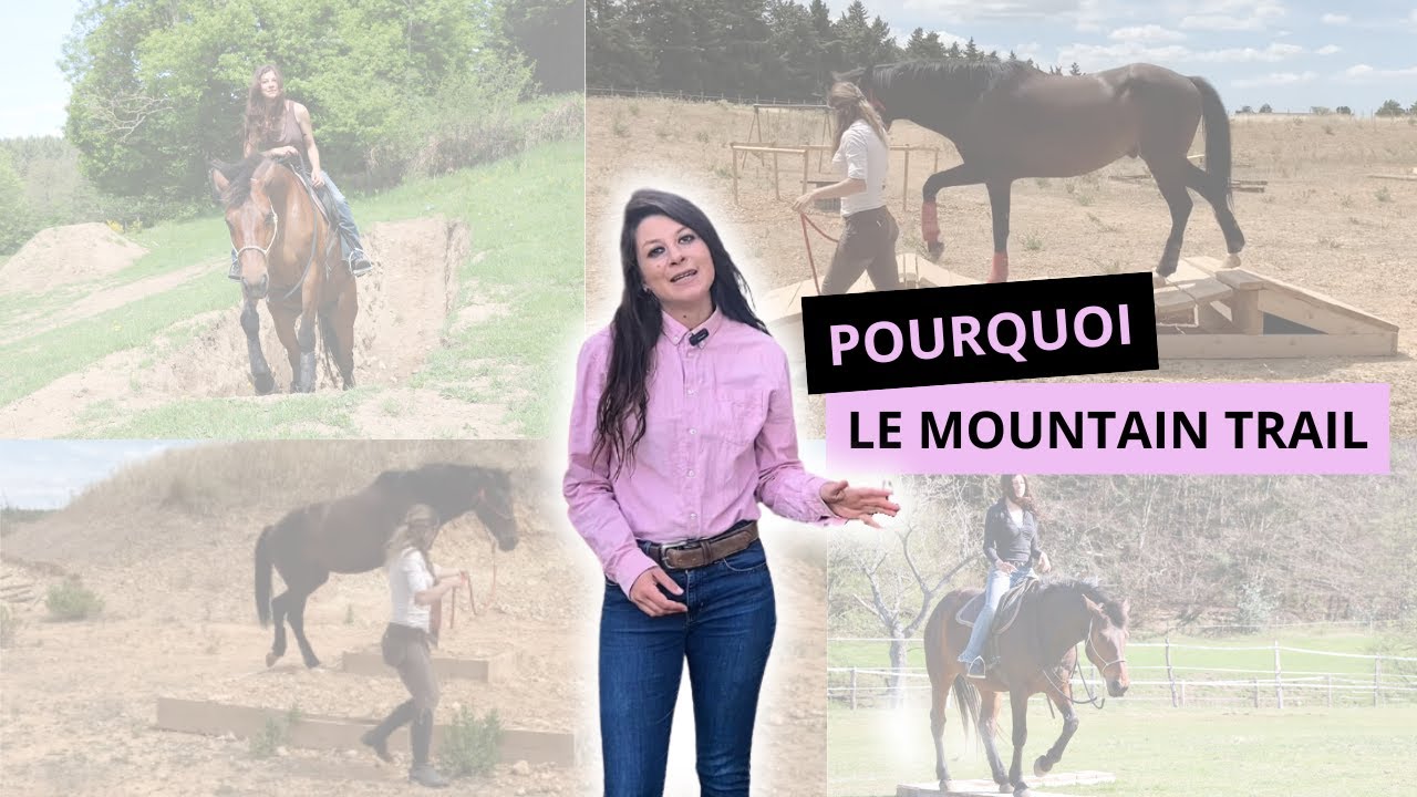 Pourquoi Vous Devez Absolument Tester Le Mountain Trail Avec Votre Cheval