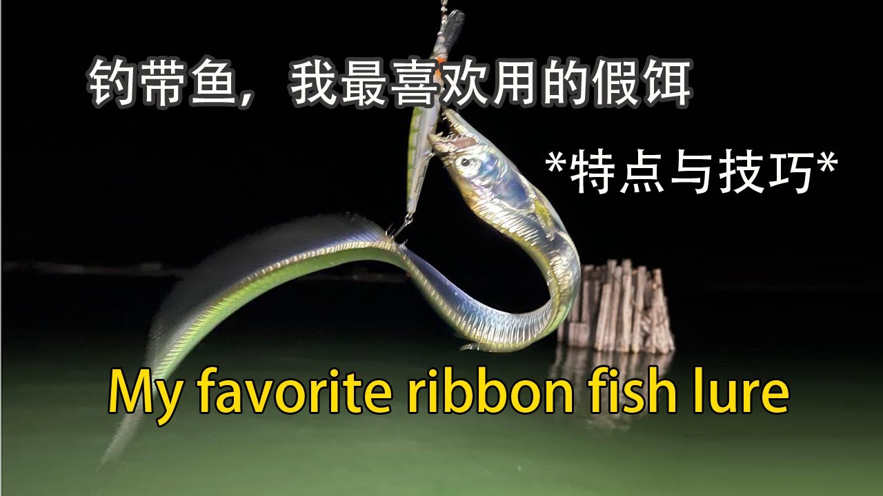 钓带鱼，我最喜欢用的假饵。*特点与技巧*My favorite lure for Hairtail fishing