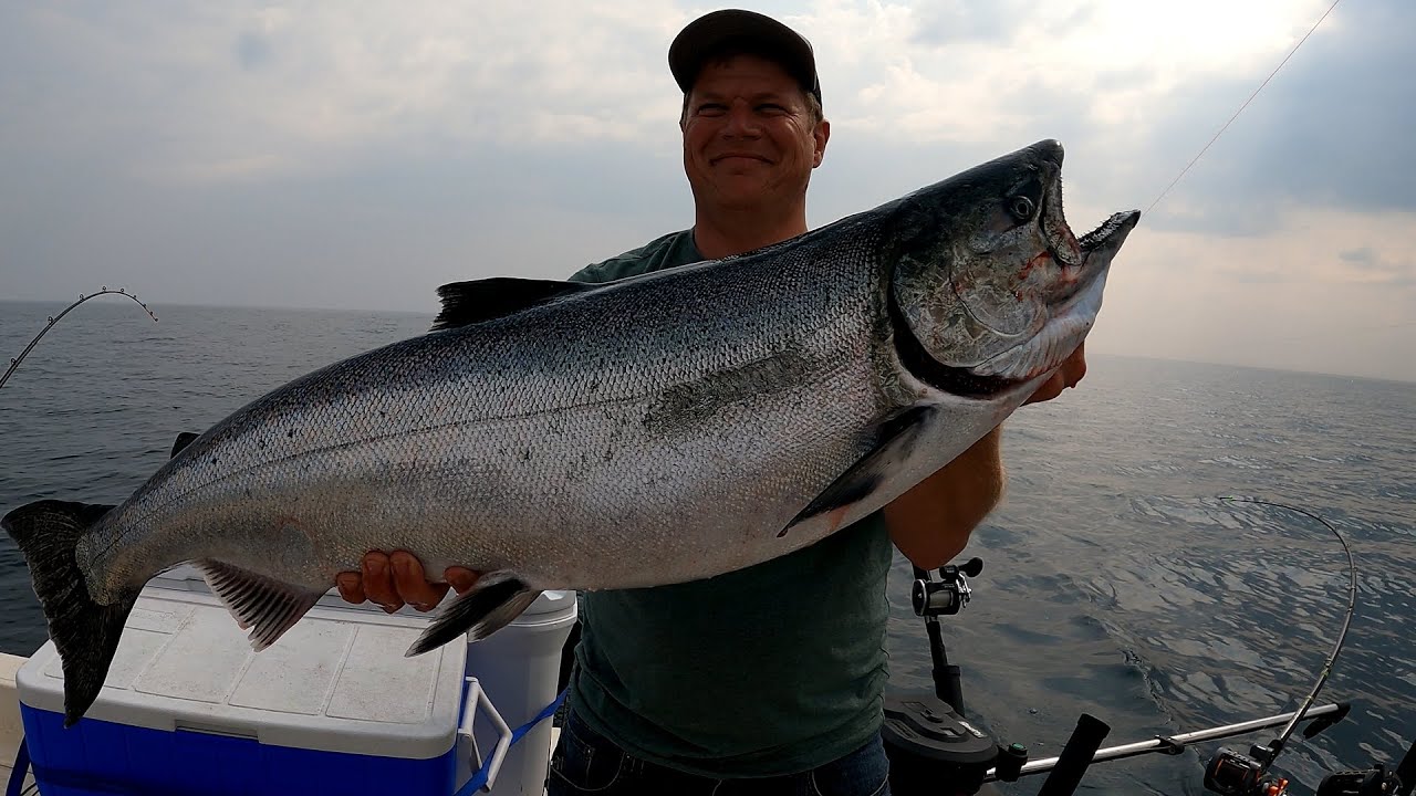 Lake Ontario Salmon Fishing, Bluffers Park, June 16