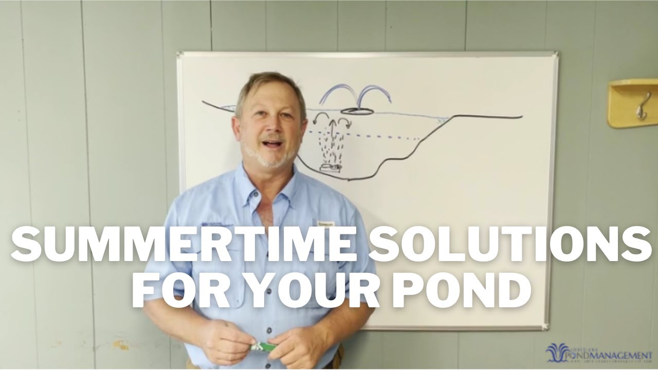 Pond/Lake Advice for the Summer