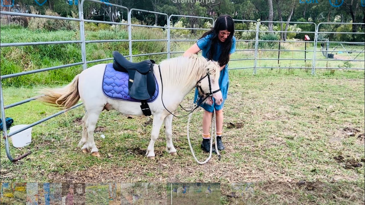 First time playing with tarps and bridling up.