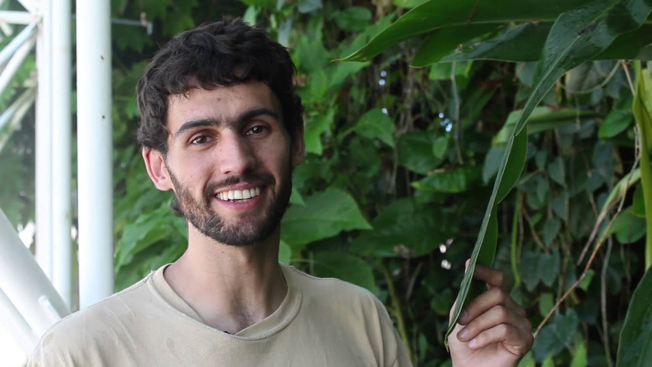 Dissolving the Green Wall: Stories from the tropical plants of Biosphere 2