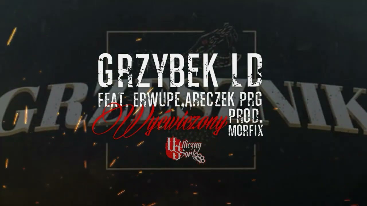 Grzybek LD Feat. Erwupe, Areczek PRG - Wyćwiczony (Prod.Morfix)