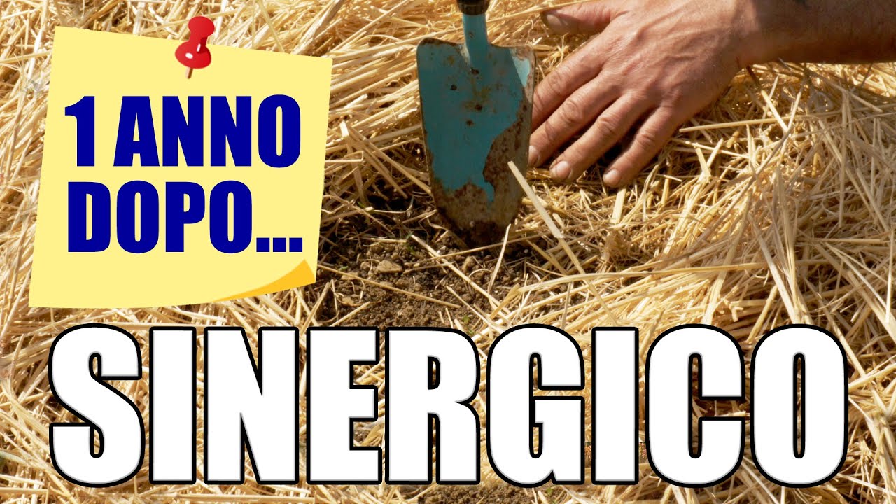 Orto Sinergico - Cura e mantenimento