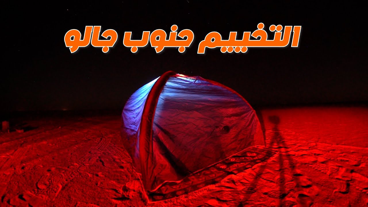وجدنا الفنك في صحراء جنوب جالو على طريق بو زريق الكفرة