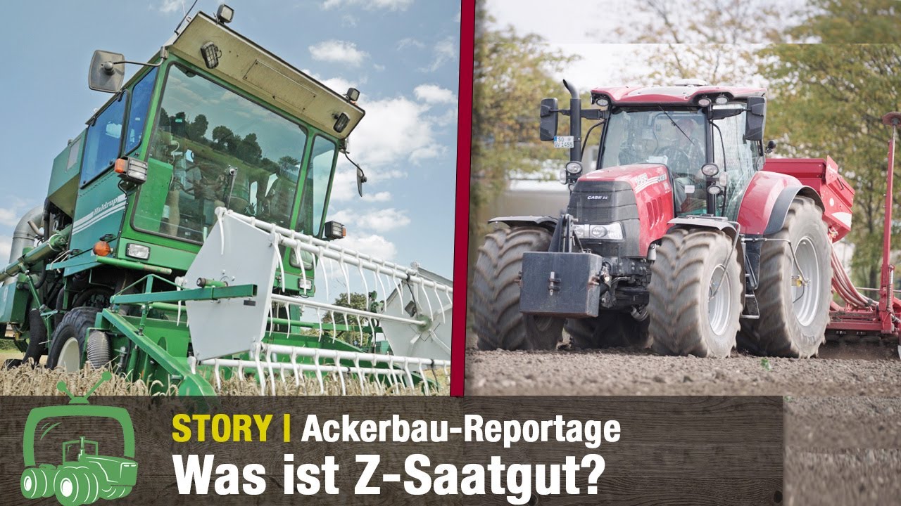 Erfolgreich aussäen: Z-Saatgut | Ackerbau | Saatgutvermehrung & Zucht | Parzellenmähdrescher
