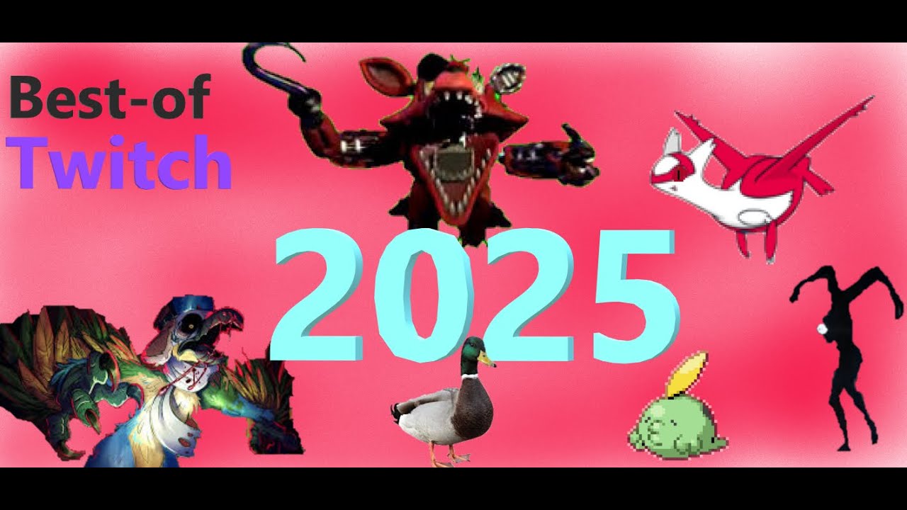 Une année bien remplit - BEST-OF TWITCH 2025