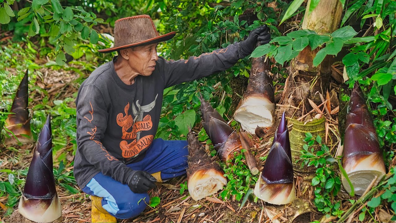 Mengambil Rebung di Kebun | Masak Opor Rebung Telur Rebus, Pindang Kriuk, Lumpia Rebung, dan Saus