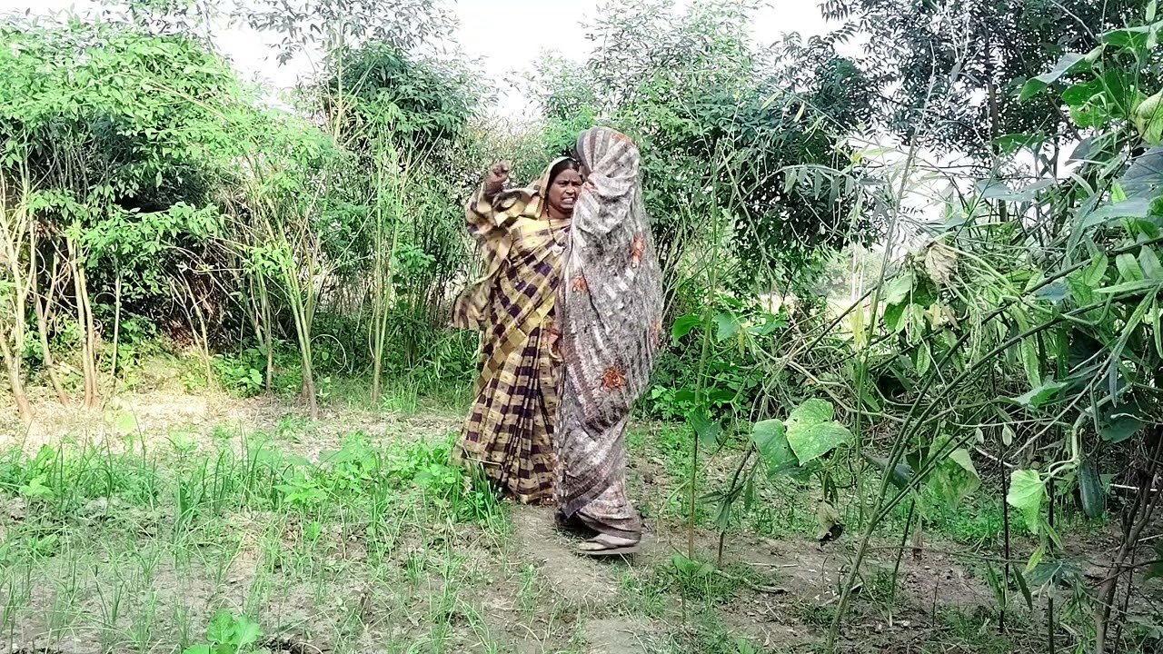 की धनिया की पट्टी की चोरी 