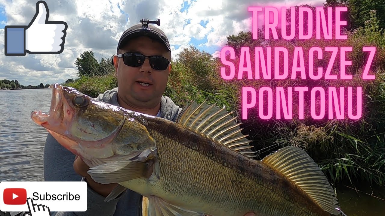 Trudne sandacze z pontonu!