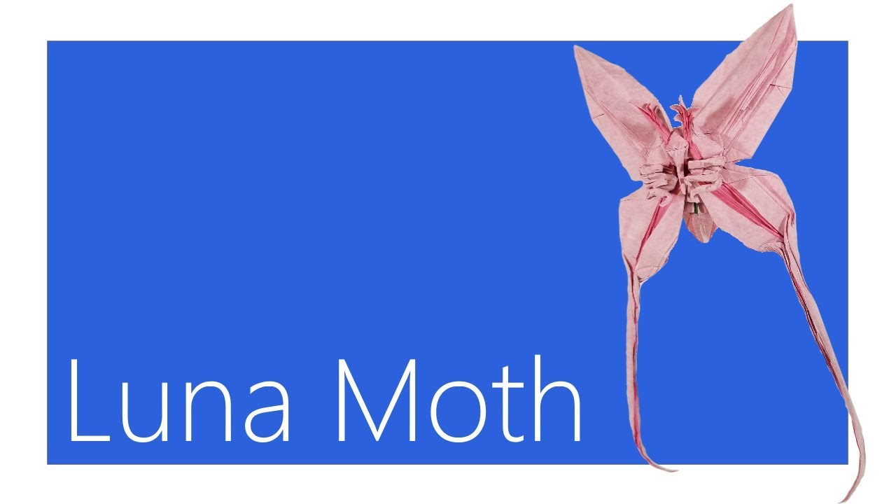 Luna Moth Origami Tutorial (Jason Ku)