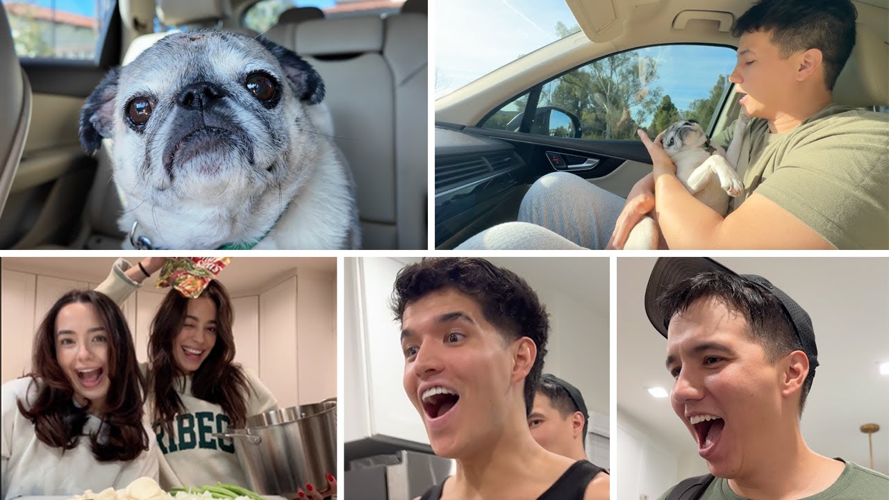 They Surprised Us With Filipino Food! + Guppy Got His Stitches Removed But Then This Happened...