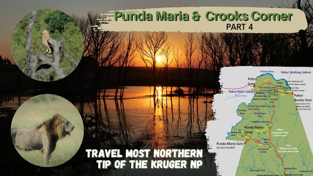 Travel, Game Park, Kruger National Park, Punda Maria, Pafuri & Crook's Corner - Nowhere to run too