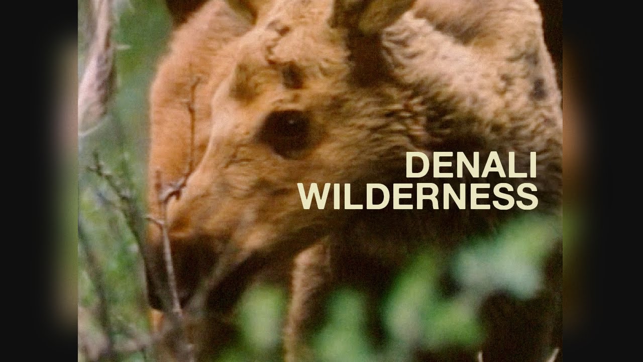 Denali Wilderness (1982) | Alaska Nature Documentary