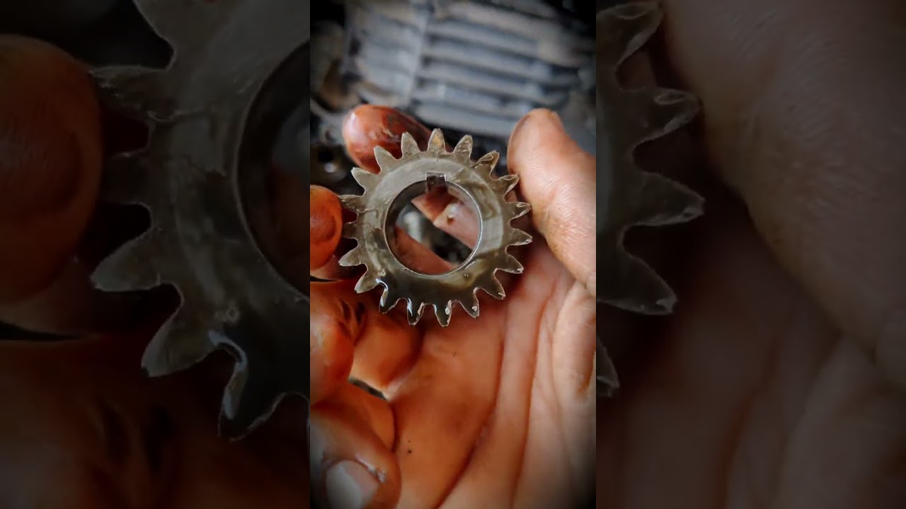 Bajaj Pulsar bike timing chain change 