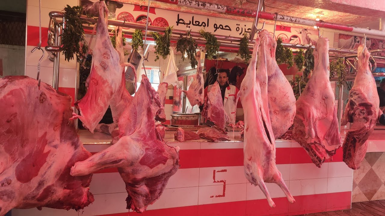 🇲🇦ولد معيط بمدينة ابن احمد مع تمن تاريخ تصوير 22/1/2026