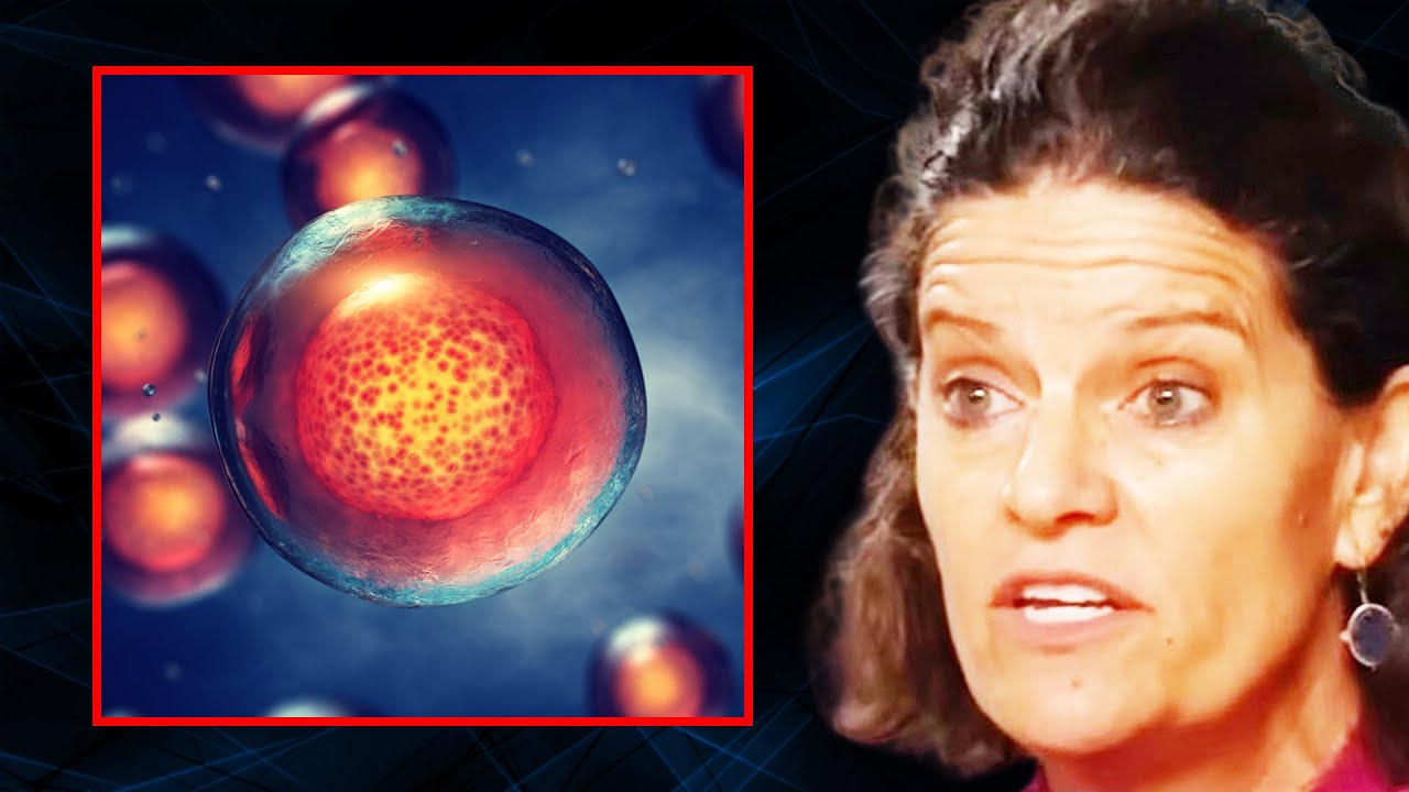 FAST THIS WAY to Produce New STEM CELLS | Dr. Mindy Pelz