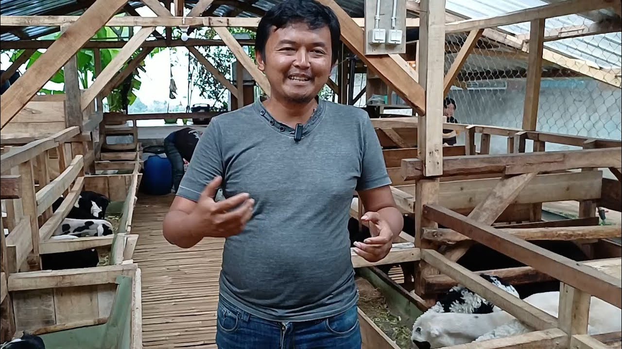PENGUSAHA KOPI BETERNAK DOGAR DI IBUN BANDUNG