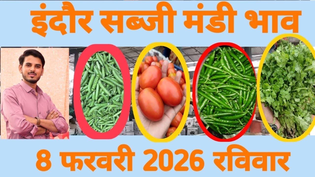 8 February 2026 🍅🌶🥔🧅👩‍🌾 केसा रहा सब्जीमंडी का हाल 🤷‍♂️🤷‍♂️ // सब्जी मंडी इंदौर // vegetable market  