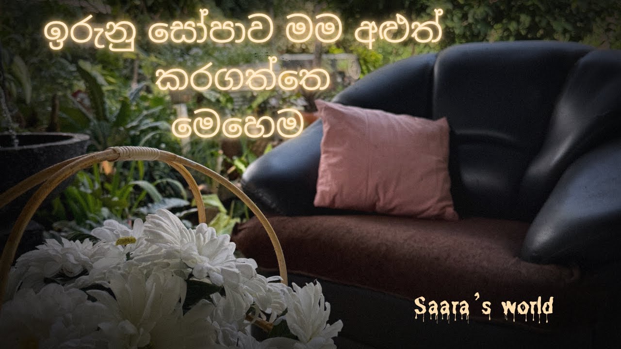 මිදුලෙත් පුංචි රවුමක් යමු නේද. 🌷🐿#myhappylife #garden #nature #home