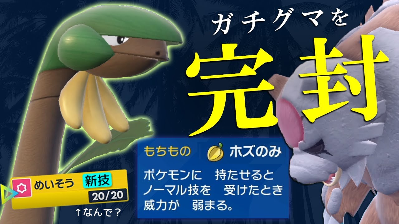 ホズのみ収穫トロピウスでガチグマ完封。「めいそう」習得してクマキラーと化した世界線【ポケモンSV】