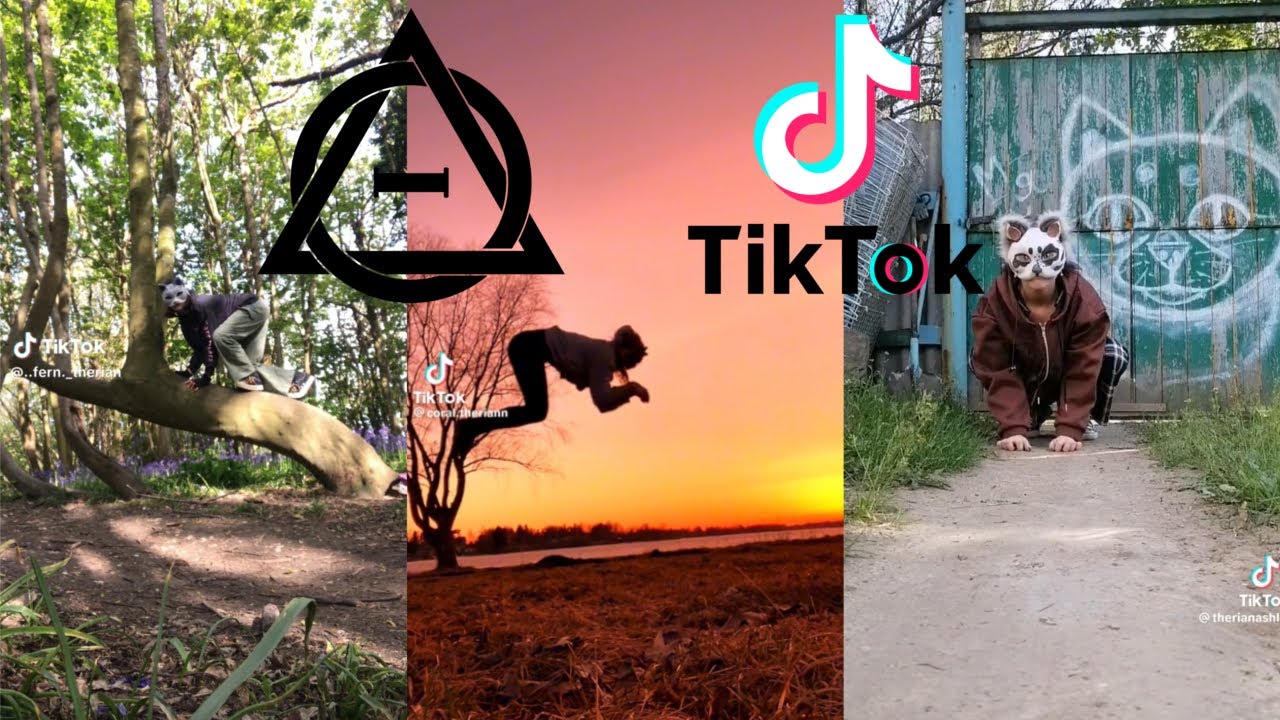 10 minutes of Therian and Quadrobics TikToks || Compilation 🐾🍂 || Alterhumans of TikTok #2