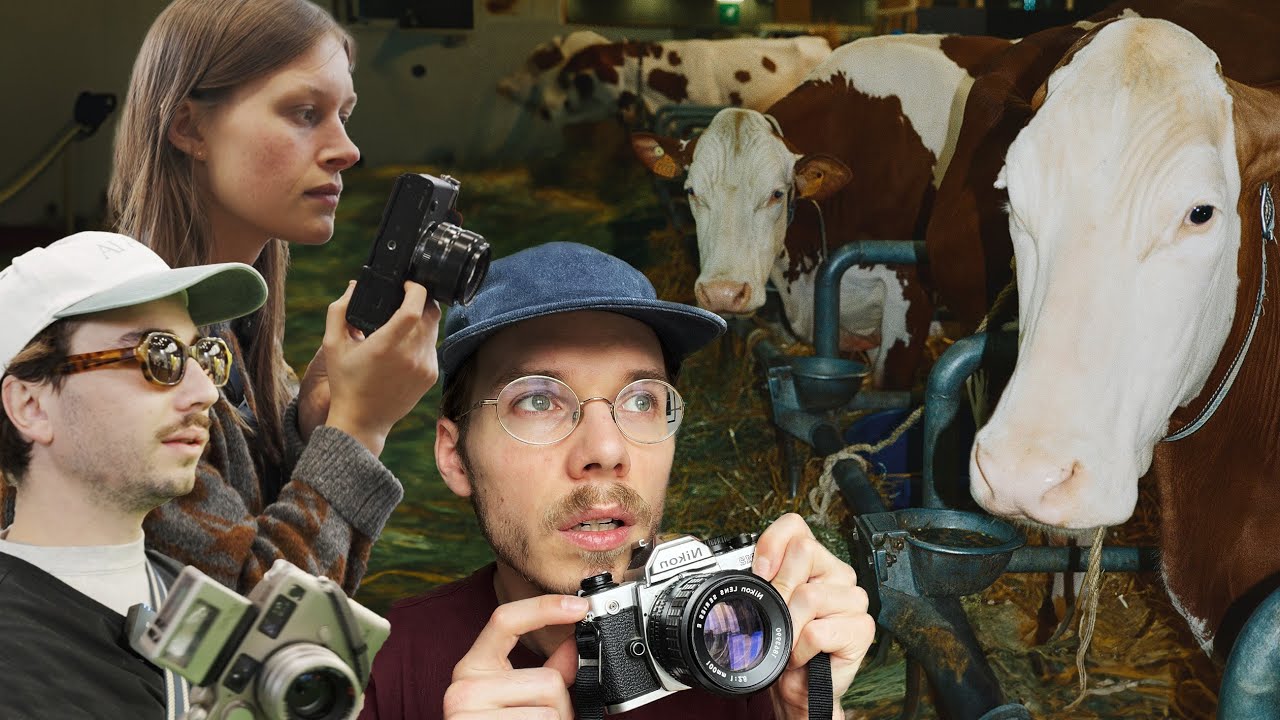 Photographier le Salon de l'Agriculture  -  ft @Tanguylv & @voilacam