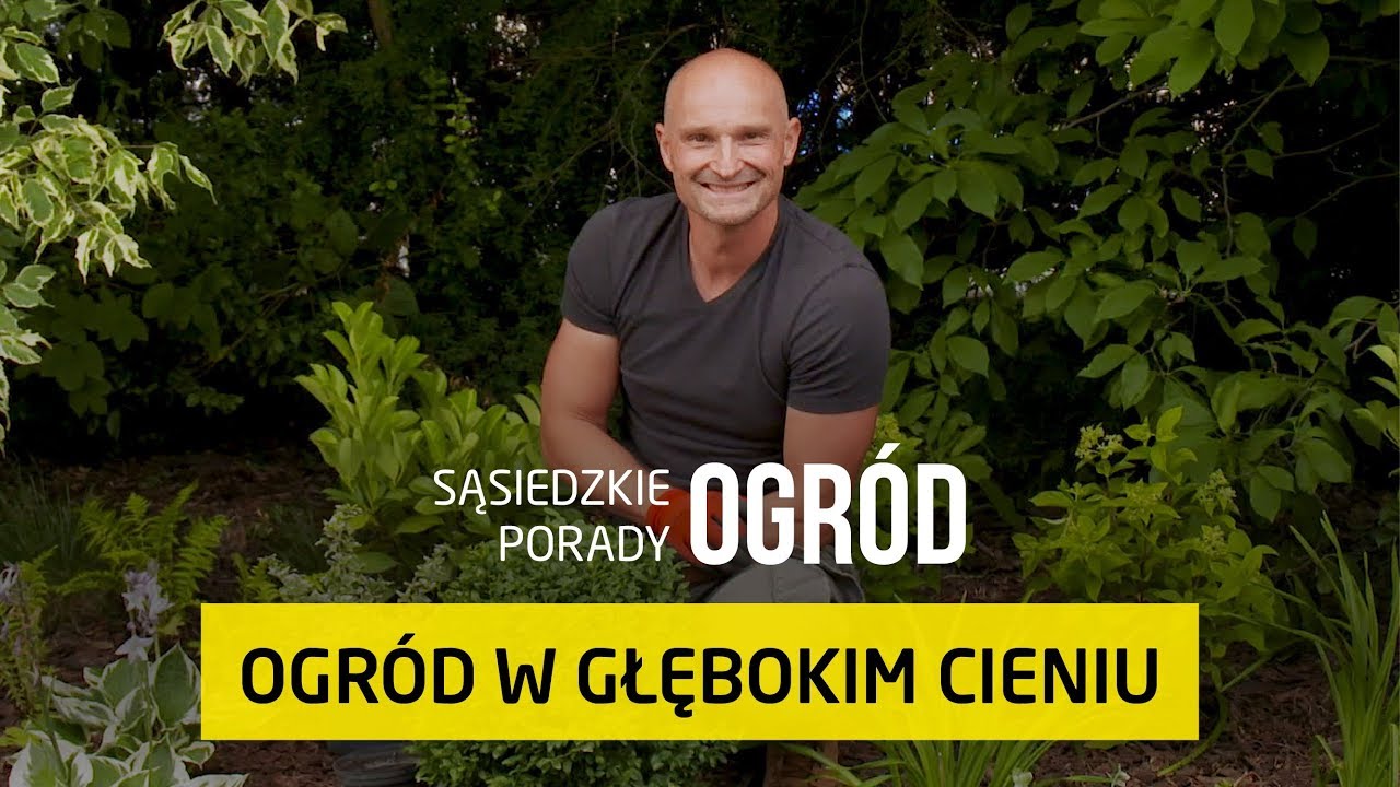 Jakie rośliny wybrać do zacienionego ogrodu? [Sąsiedzkie Porady &ndash; Ogr&oacute;d]