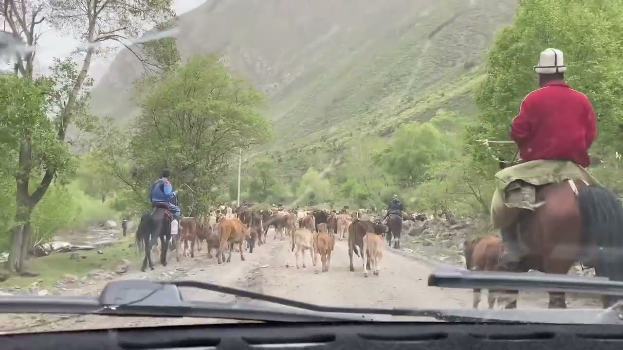 Алайкуу 01.05. 2022-ж.