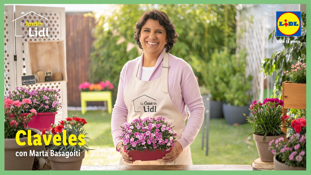 Cómo cuidar tus claveles 💐💙  | El Jardín De Lidl | Lidl España