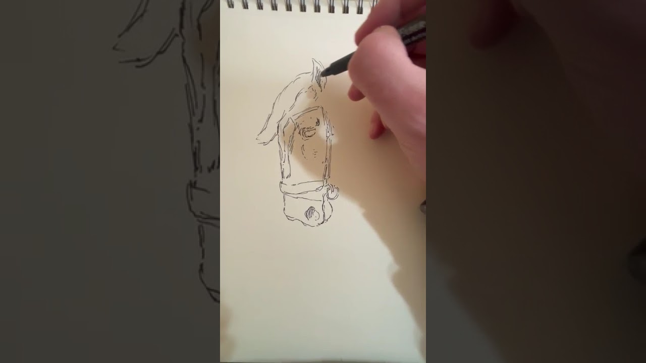 Horse Head in 6 minutes
