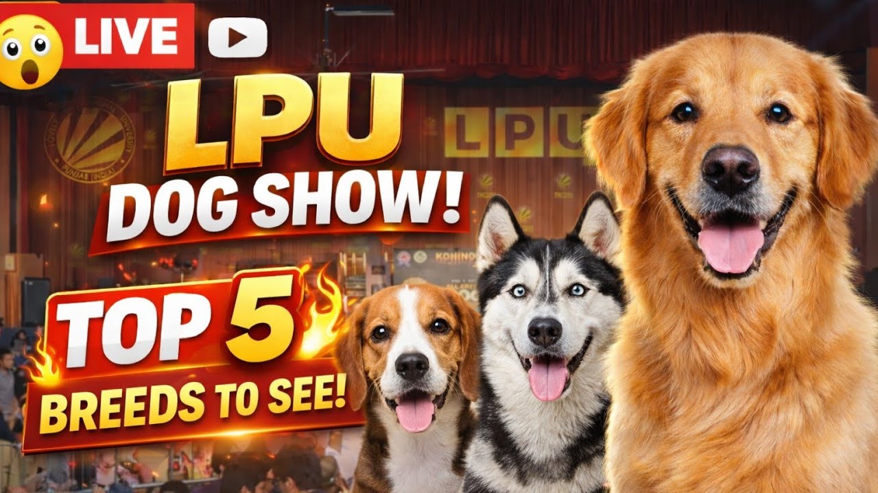 LPU Dog Show 2026 🐶 | Amazing Dog Breeds at Lovely Professional University 😍 