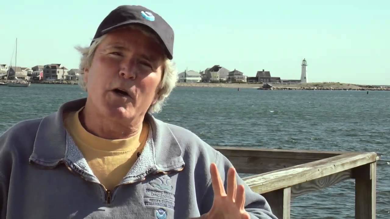 Ocean Frontiers - Chapter 1 - Saving Whales at Stellwagen Bank