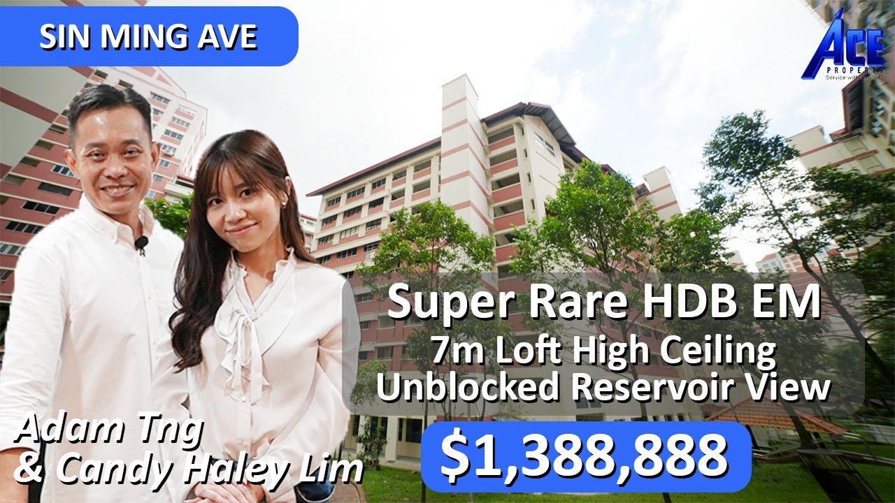 Super Rare HDB EM with 7 meters High Ceiling Loft and Unblocked Reservoir View, 1959sqft
