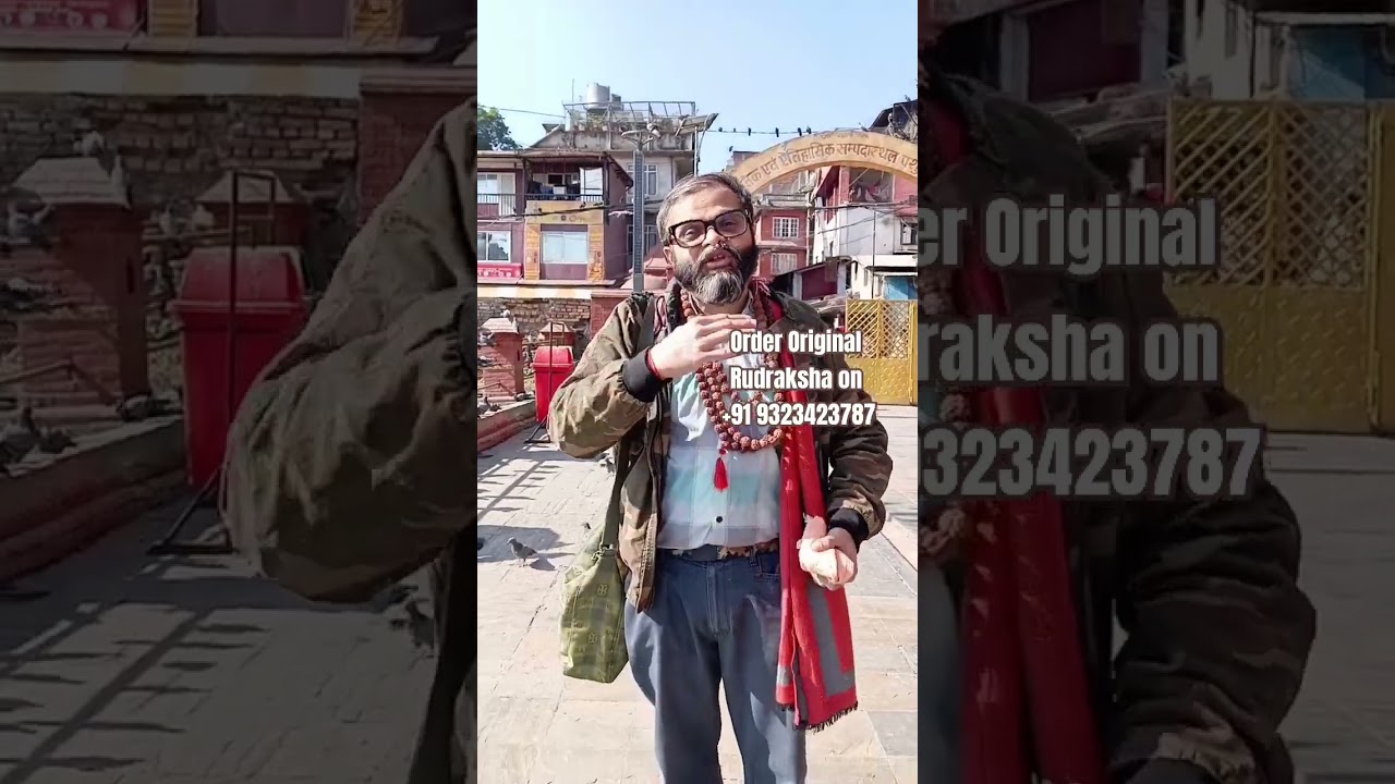 Rudraksha Tree Original Nepal Rudraksha Pashupatinath Mandir Kathmandu Buy Original Rudraksha Nepal