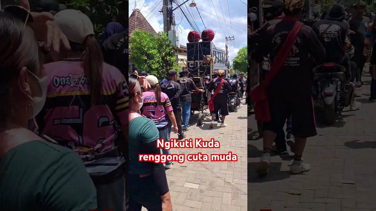 Ngikuti kuda renggong cuta muda