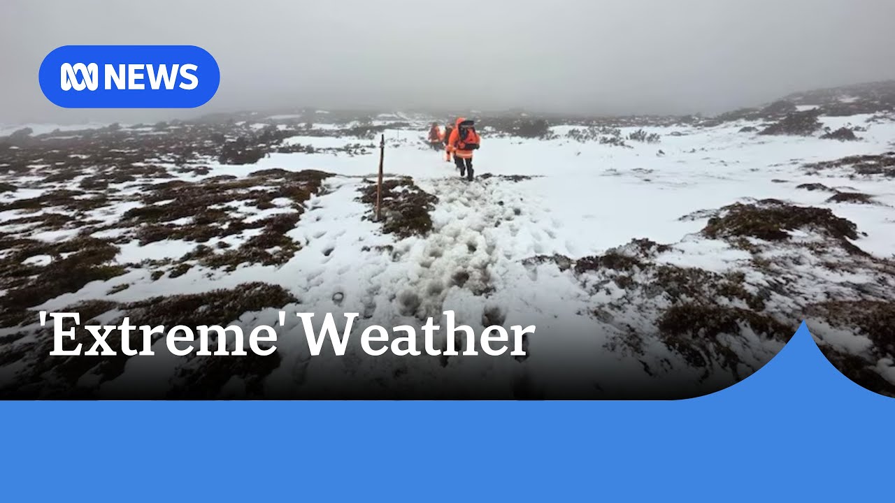 Tourist dies at Tasmania's Cradle Mountain after group becomes 'overwhelmed' | ABC NEWS