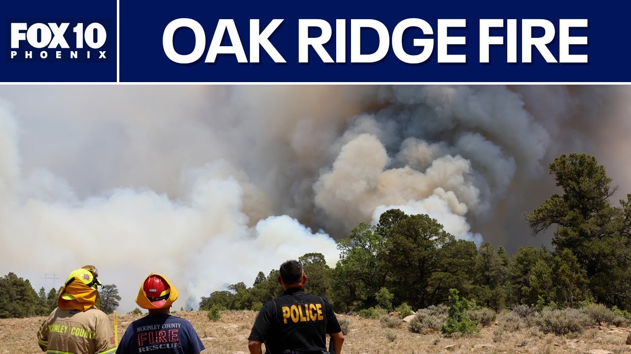 Navajo Nation wildfire grows to nearly 10,000 acres l FOX 10 Phoenix
