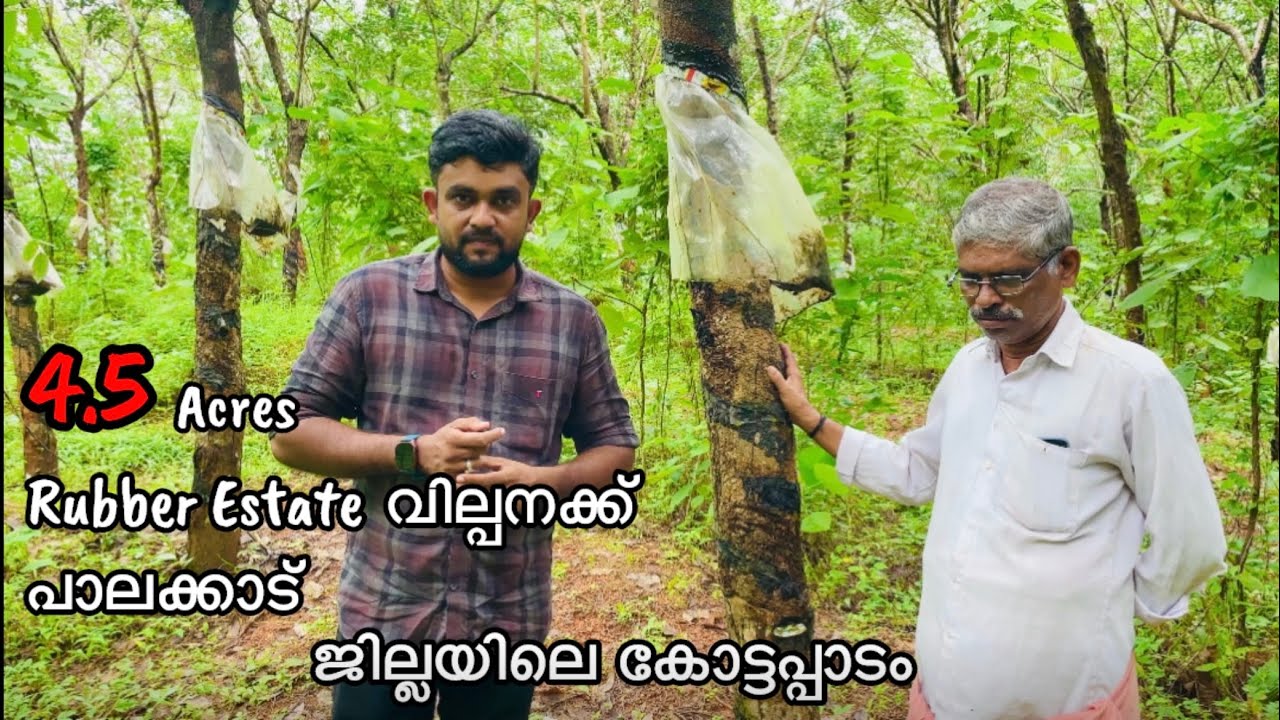 #162 Rubber estate for sale at kottapadam ( pattithara panchayath, Palakkad district)