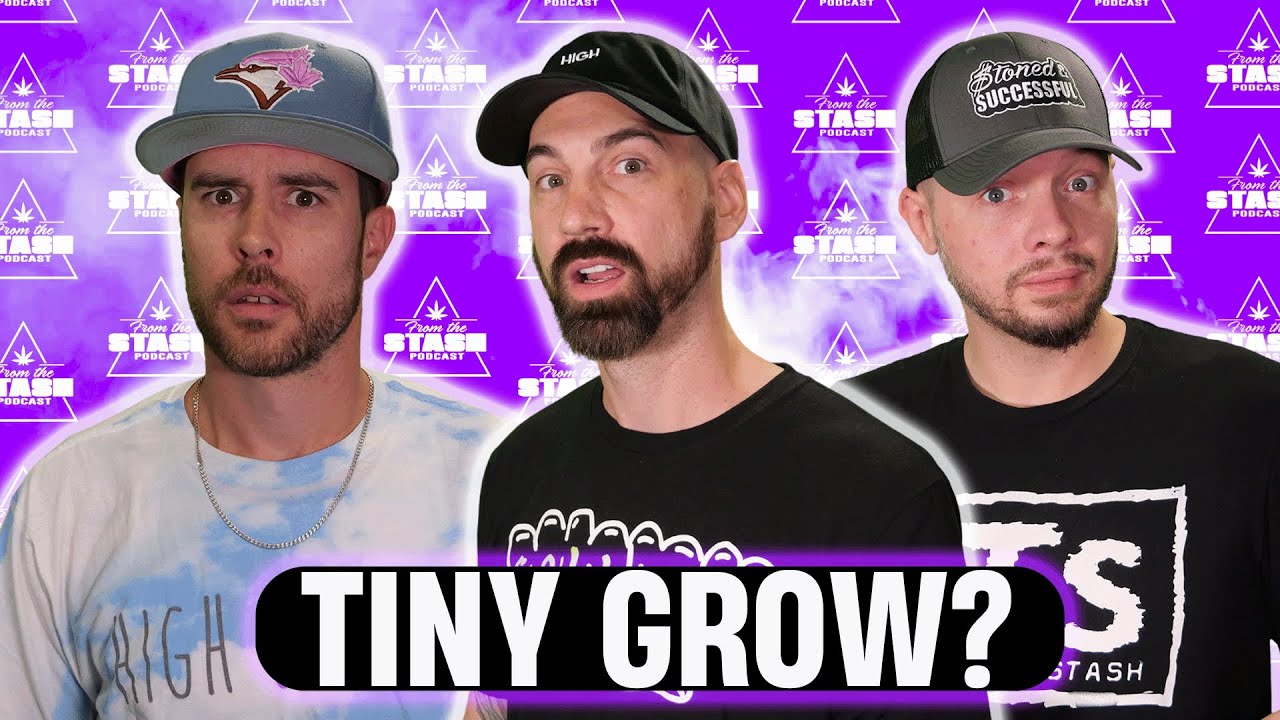Tiny Space? No Problem. How to Grow Top-Shelf Weed Anywhere - FTS Podcast Ep.252