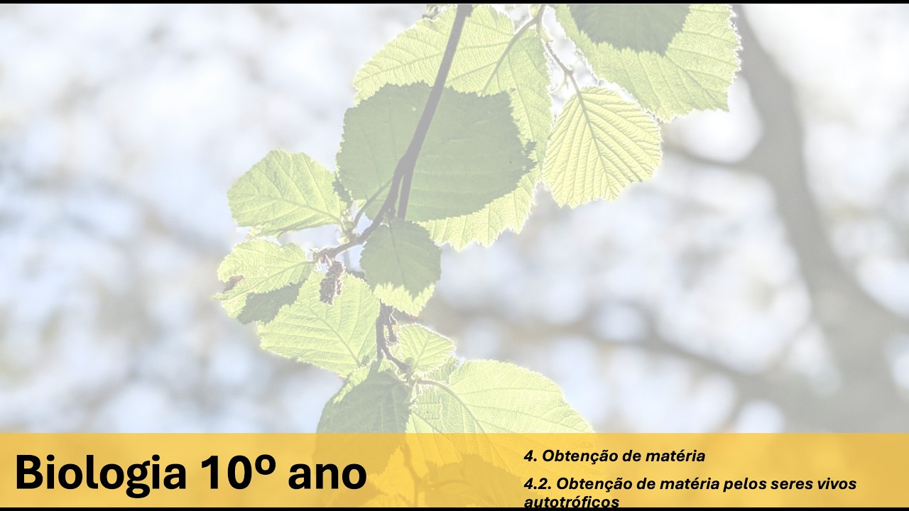 Biologia 10º | Aula 4 | Obtenção de matéria pelos seres autográficos