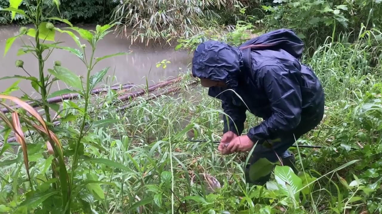 Menikmati Ketenangan Cekdam: Mancing di Alam Terbuka : Serene Check Dam Fishing : Outdoor Adventure