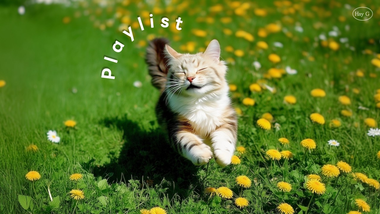 Playlist 🌼 첫 곡부터 봄 느낌 미쳤다..!ㅣ요즘 계절에 딱 좋은 팝송 플레이리스트ㅣCafe BGM · 매장음악 · 노동요 | HayG