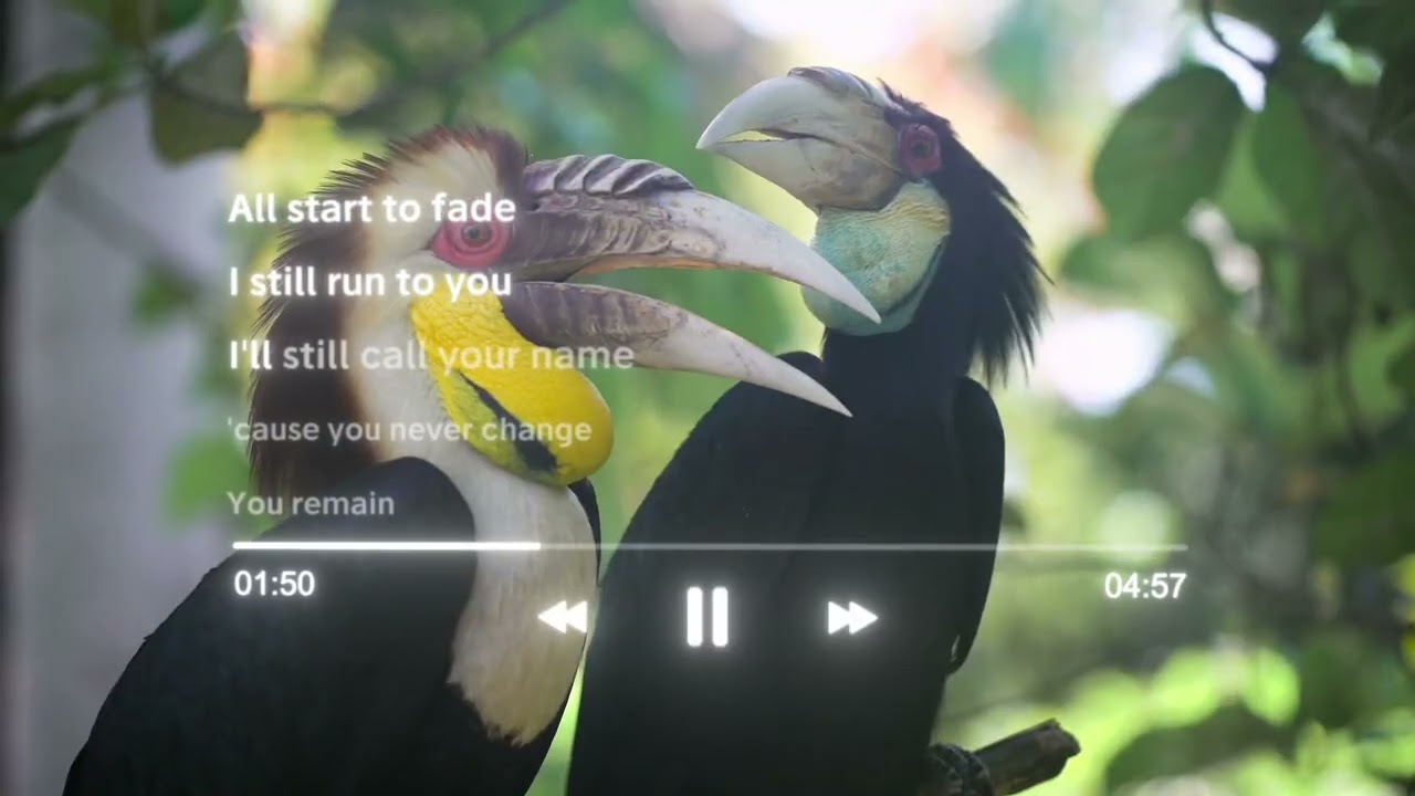 Only You Remain 🎵🎶@LisDove / It’s Official!