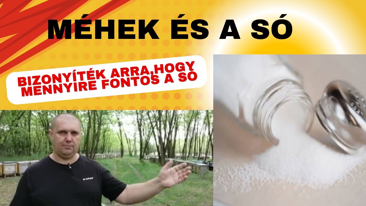 Méhek só fogyasztása. Egyedülálló videó !!!! Erről soha senki nem beszél.