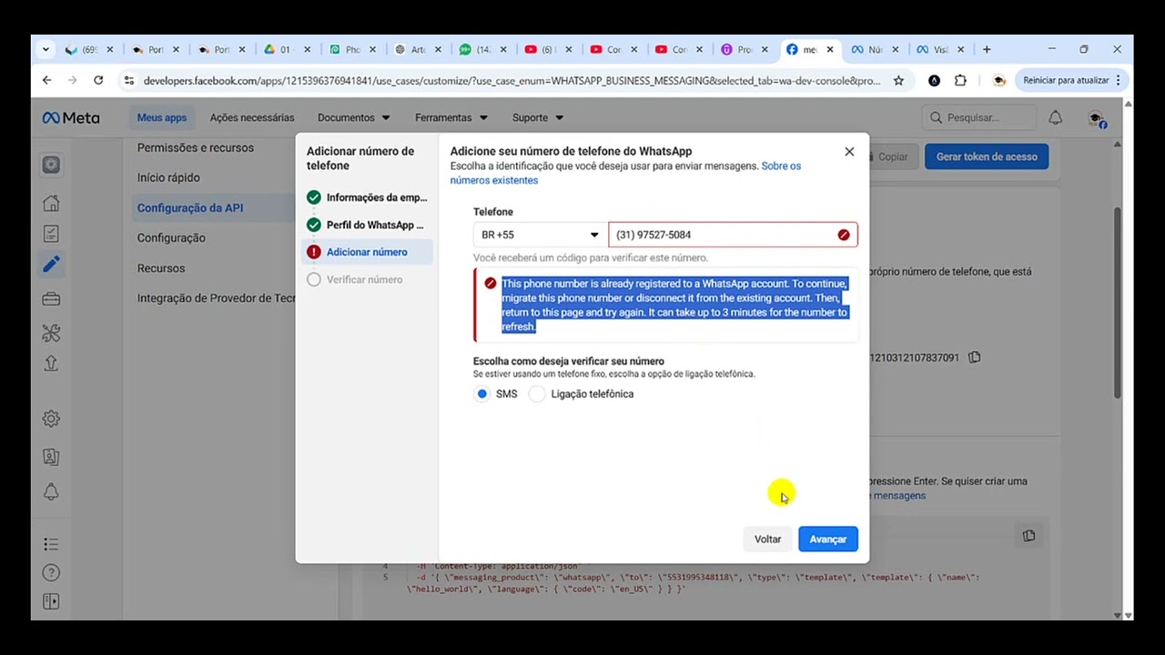 Desenvolvendo Sistemas com IA - Aula 20 - Adicionando numero na api meta - Módulo 04