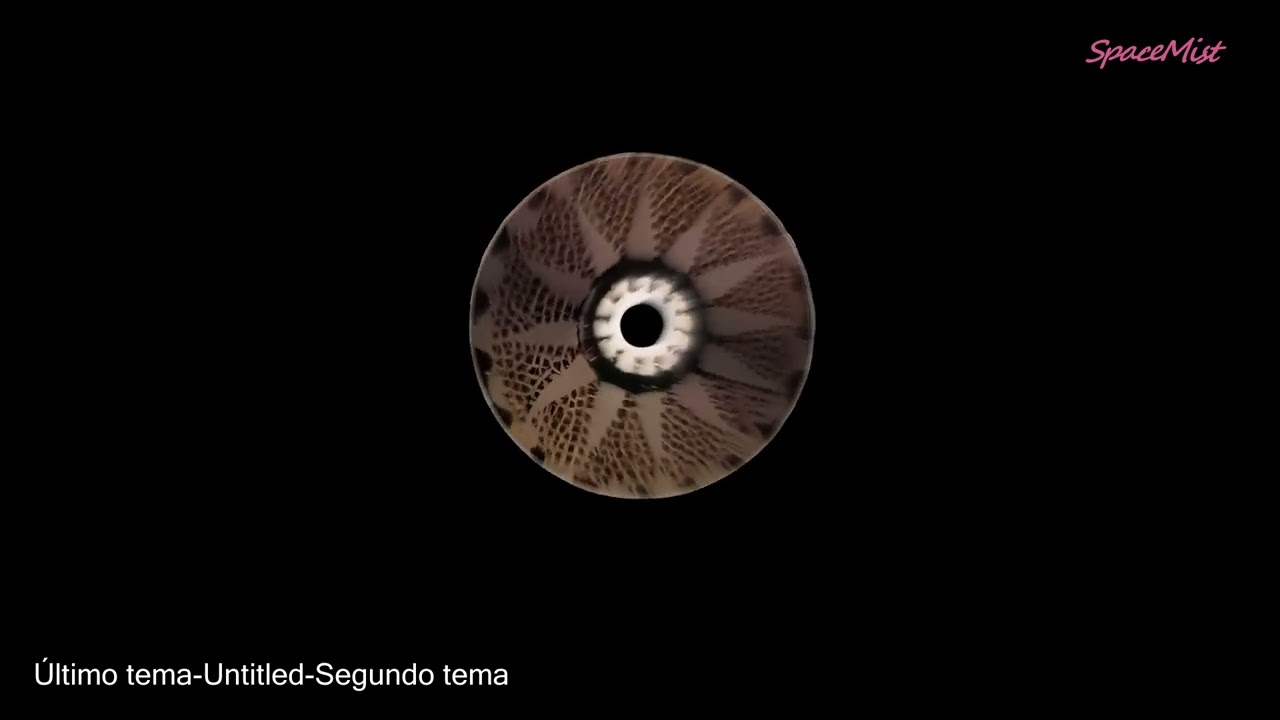 Enjambre: Último tema-Untitled-Segundo tema [Slowed][HQ]