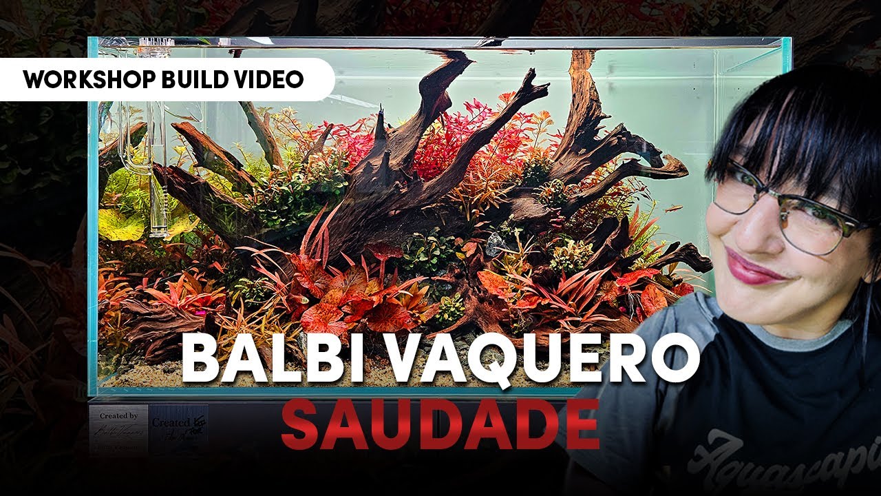 All Red Aquarium Plants: Aquascaping Workshop with Balbi