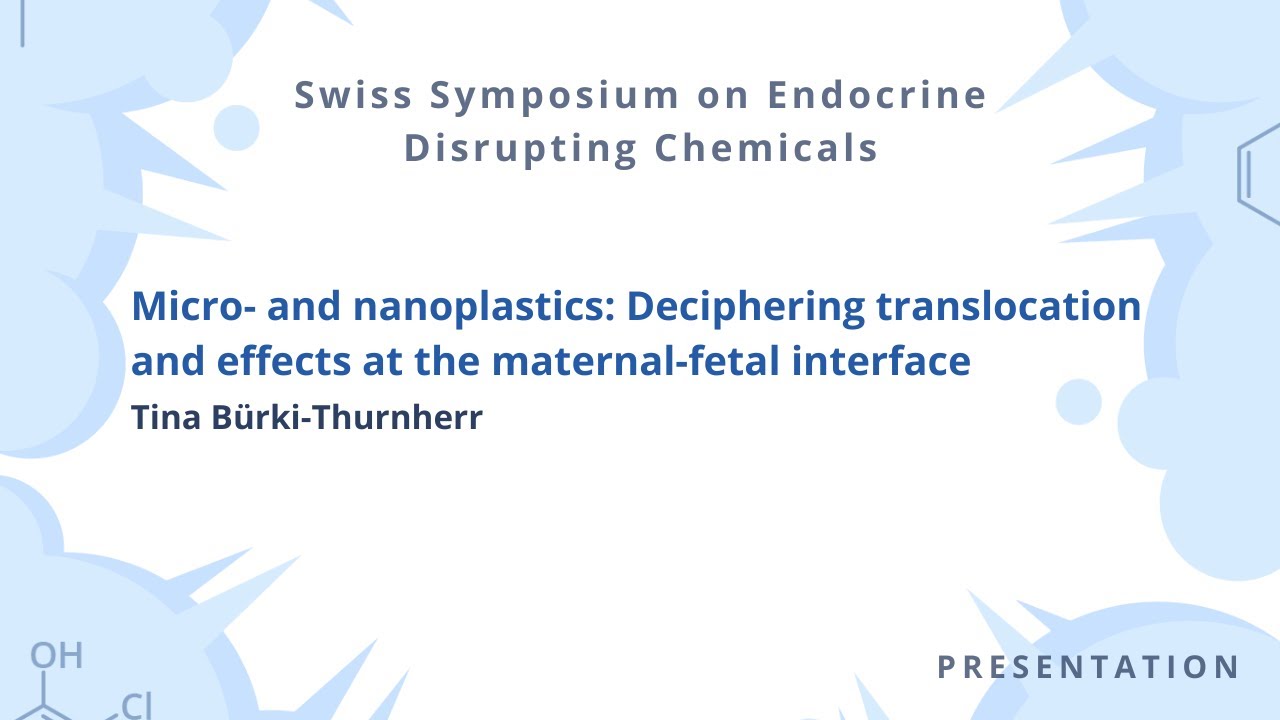 Micro- and nanoplastics: Deciphering translocation and effects at the maternal-fetal interface